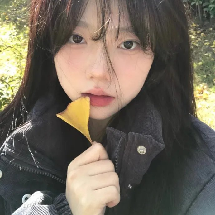 全职高手第一季